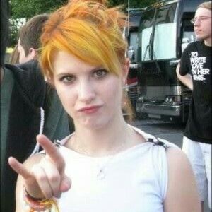 Meet your Posher, Steven